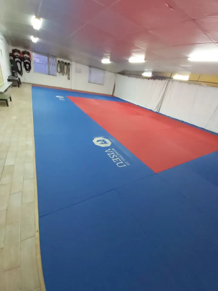 Icon Jiu-Jitsu Team Viseu — jiu-jitsu brasileiro-studio em Viseu — 3