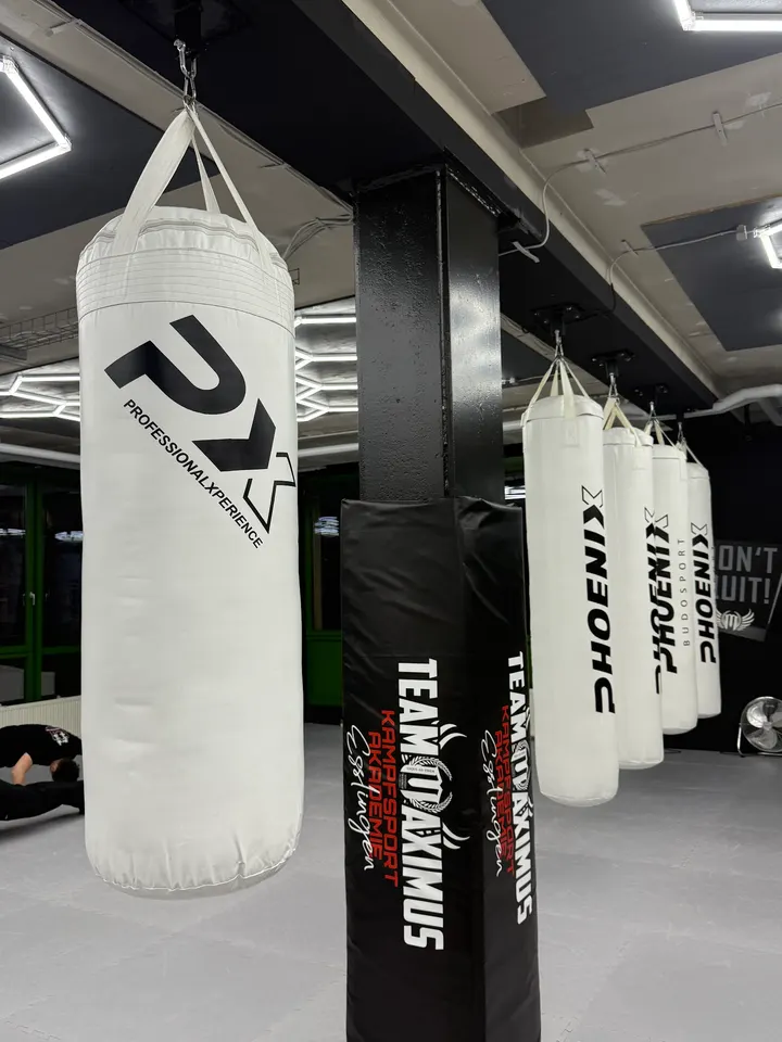 Kampfsportakademie Esslingen — Kampfsport in Innenstadt, Esslingen am Neckar