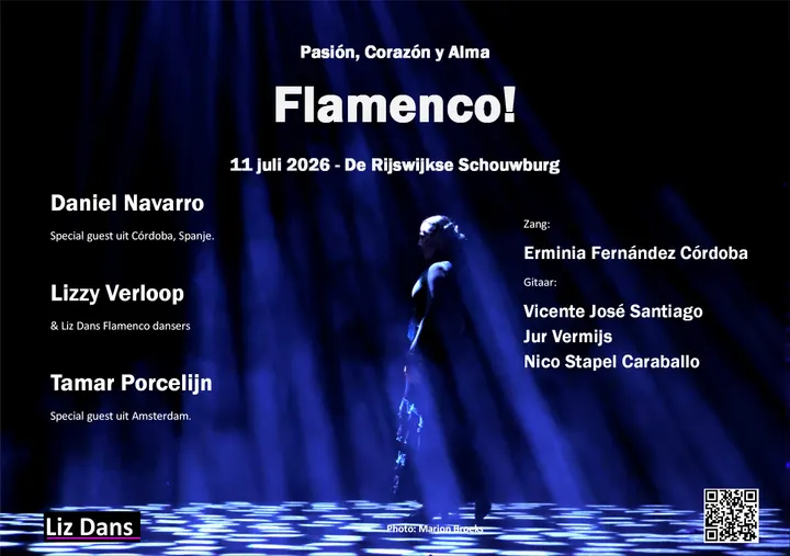 Liz Dans Flamenco SR Den Haag — dans-studio in Den Haag — 4