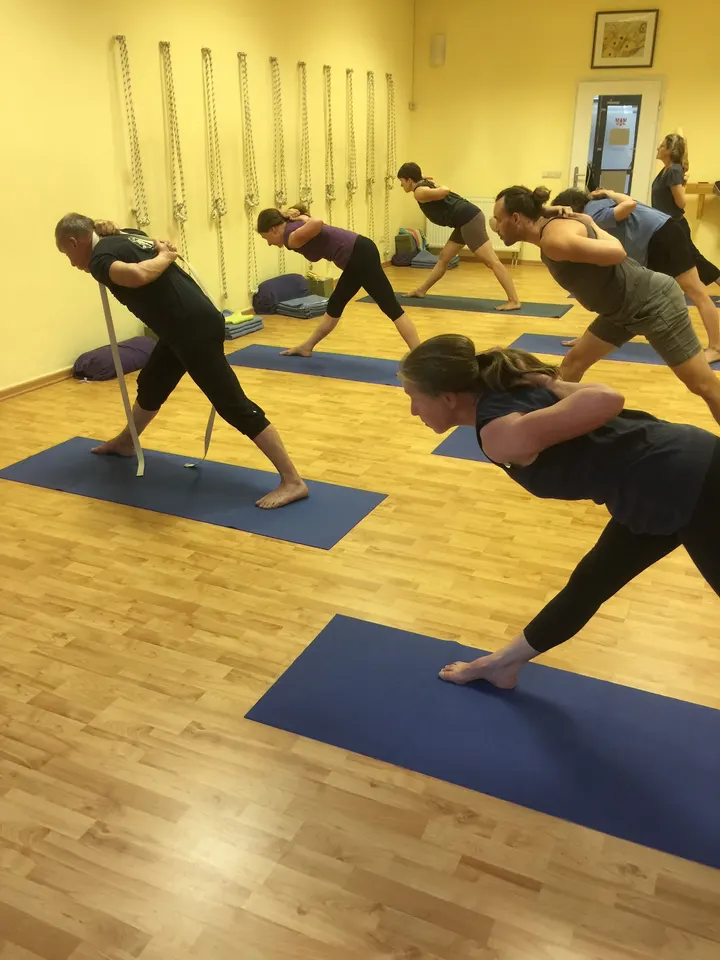 Iyengar Yoga Dresden — yoga-studio in Neustadt — 3