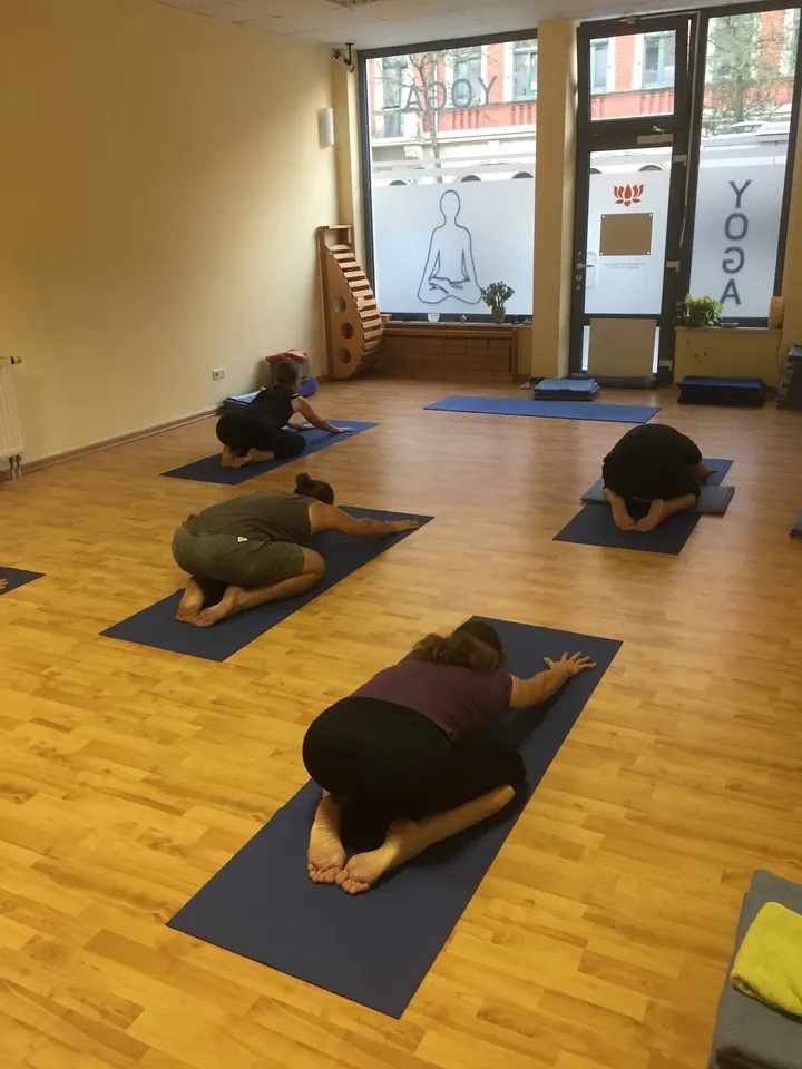 Iyengar Yoga Dresden — yoga-studio in Neustadt — 5