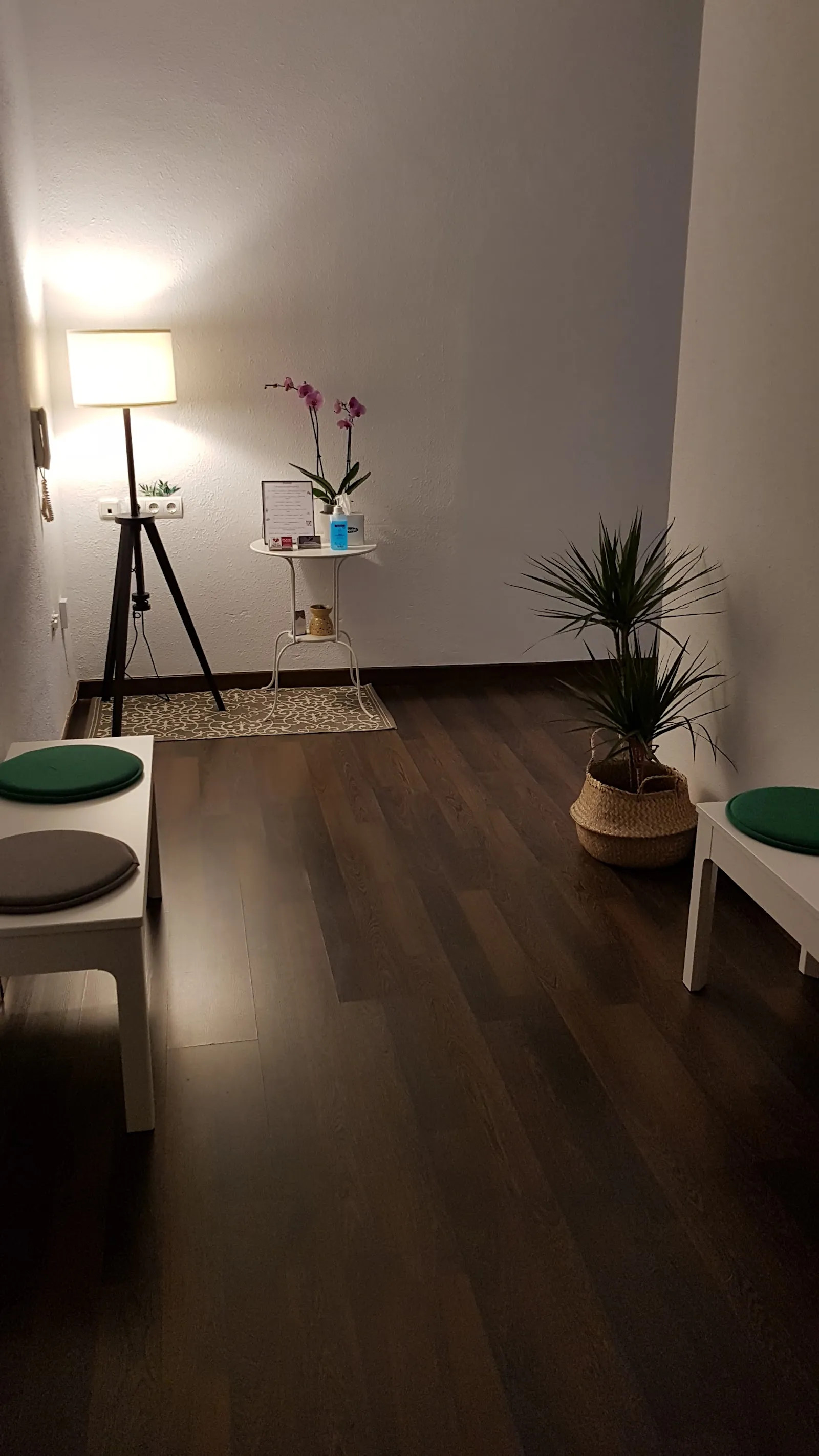Salud Activa Marbella, PILATES MÁQUINAS. instructora Eva Gámez — pilates-studio en Marbella — 4