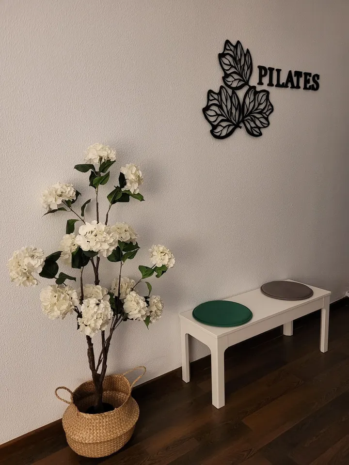 Salud Activa Marbella, PILATES MÁQUINAS. instructora Eva Gámez — Pilates en Miraflores, Marbella