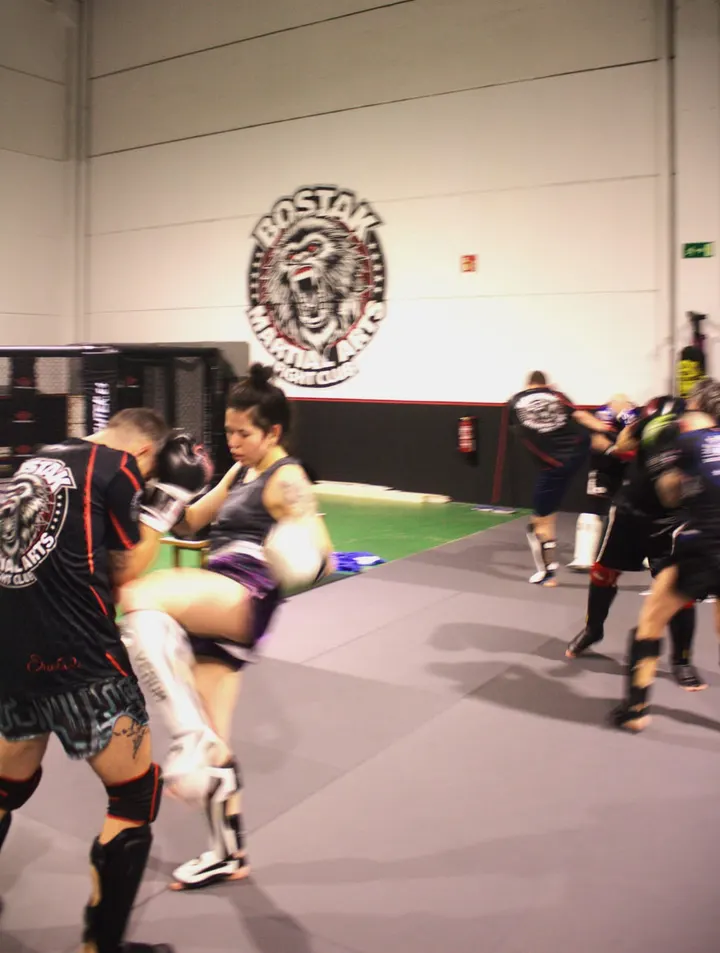 Bostak Martial Arts Fight Club — artes marciales-studio en Vitoria-Gasteiz — 5