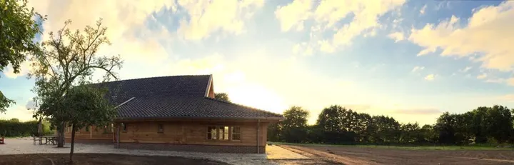 Golden Tree — Meditatie in Enschede