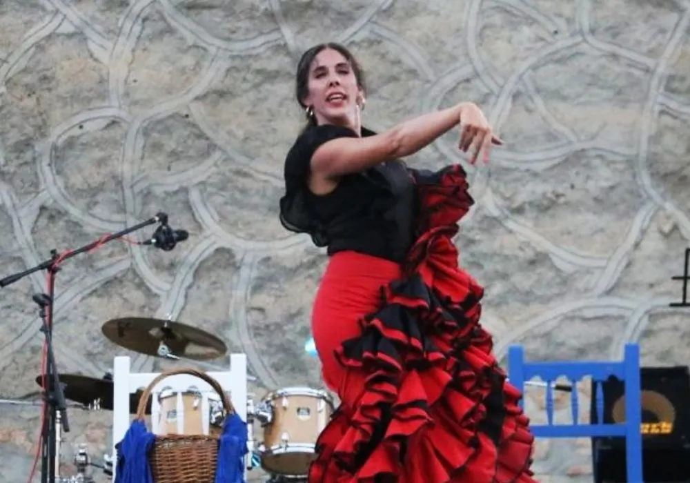 Instituto Flamenco Rebeca GarVía — dans-studio i Oeste, Salamanca — bild 2