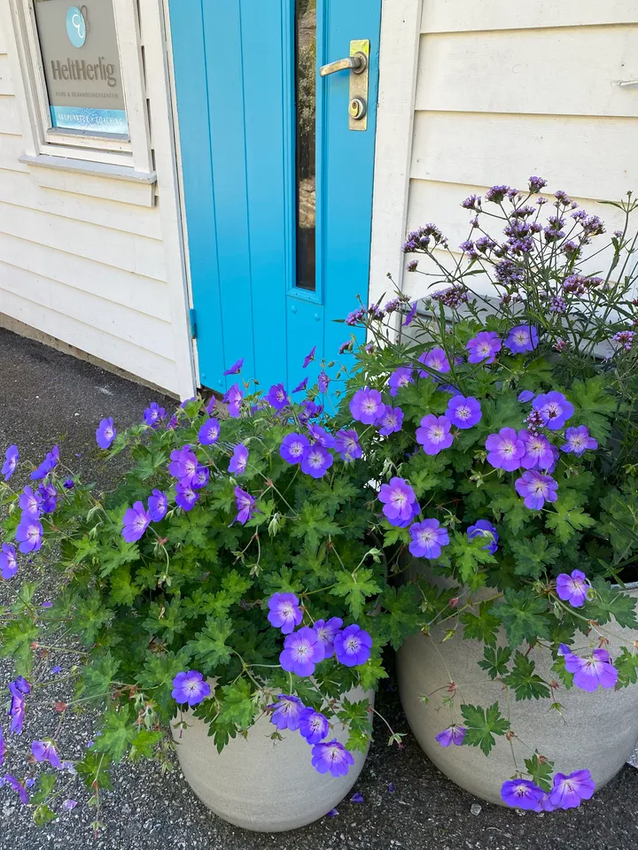 HeltHerlig Kurs Og Behandlingssenter — yoga-studio i Bergen — 3