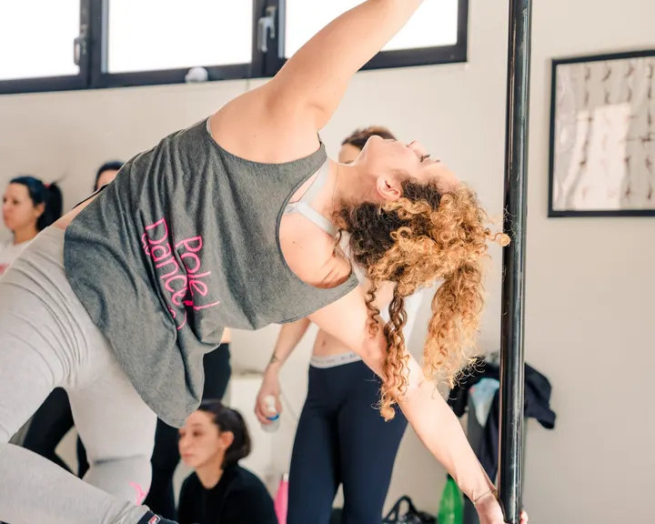 Vertipole Academy: HOME — palestre-studio a Pontevecchio, Bologna — 2