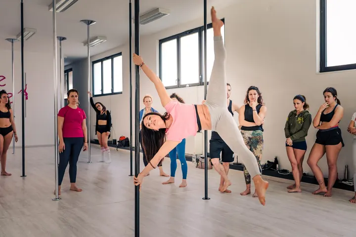Vertipole Academy: HOME — Palestre a Pontevecchio, Bologna