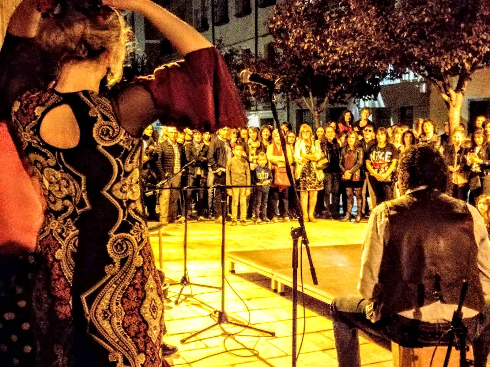 Estudio De Flamenco Alba Jiménez — baile-studio en Tudela — 3