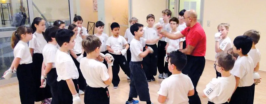 TAI FU-Kampfkunstschule — kampfsport-studio in Schwalbach am Taunus-Schwalbach (am Taunus) — 2