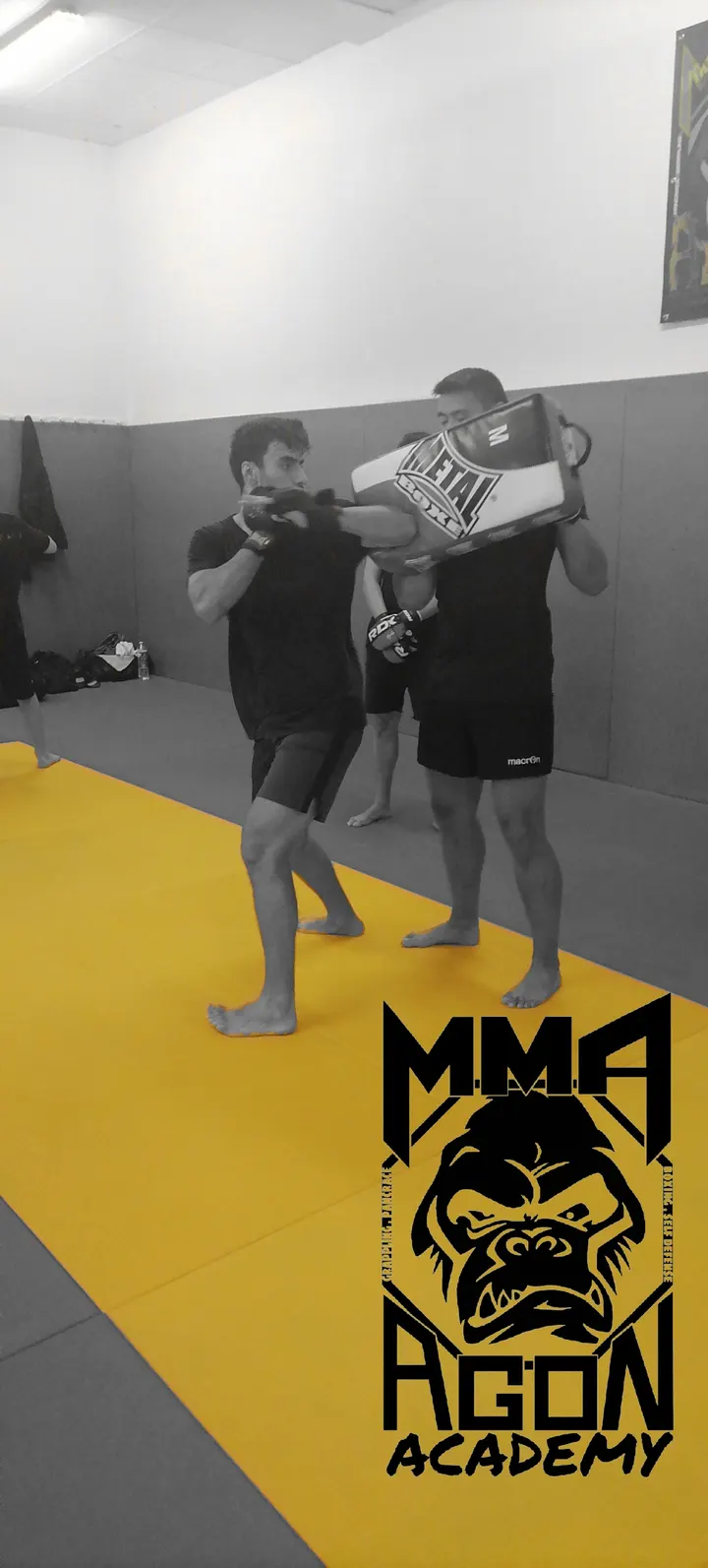MMA Agon Academy Martiaux mixtes — mma-studio à Rouen — 4