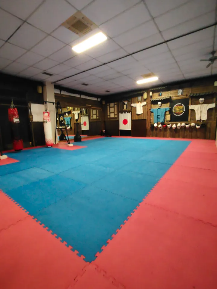 Gimnasio Almozara — artes marciales-studio en La Almozara, Zaragoza — 3