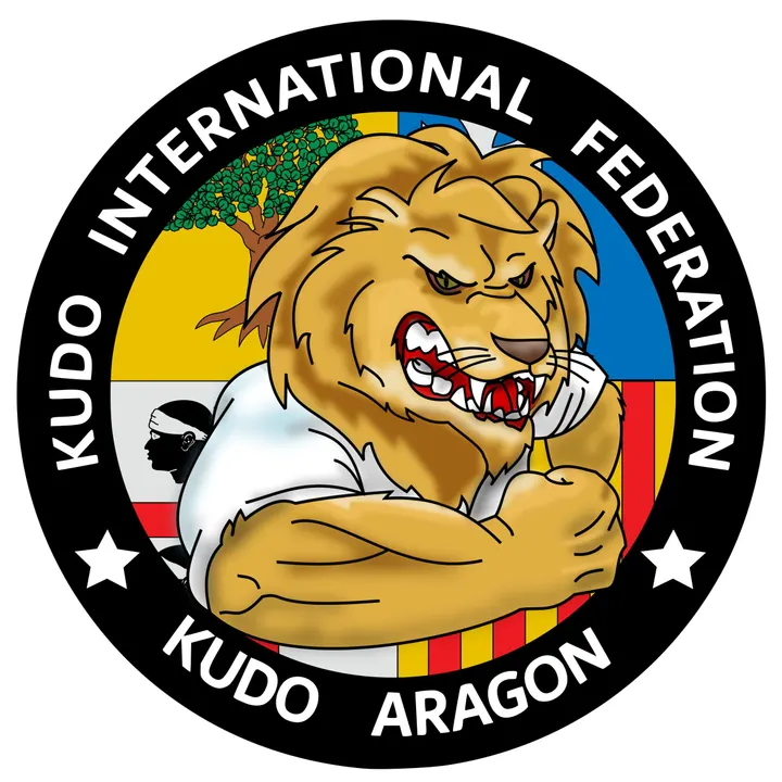 Gimnasio Almozara — artes marciales-studio en Zaragoza — 5