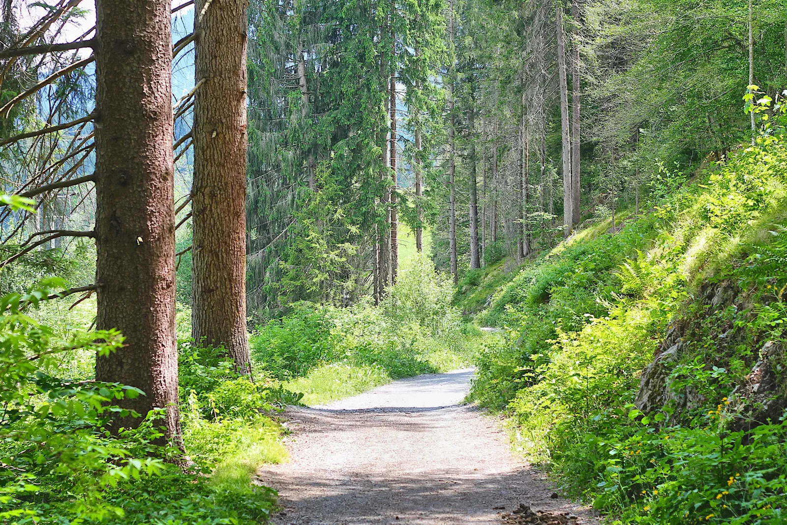 Geconnt - Dich und Dinge bewegen — wellness-studio i Hamburg — 2