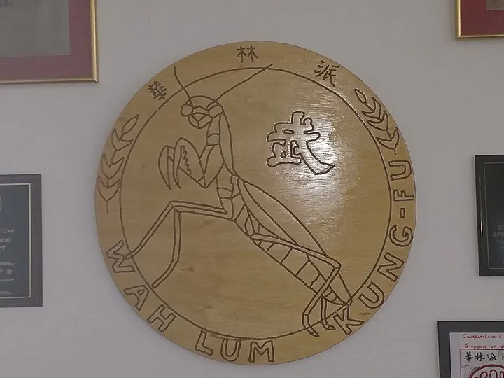 Kampfkunstschule Wah Lum Pai — Kampfsport in Mauritz-Mitte, Münster