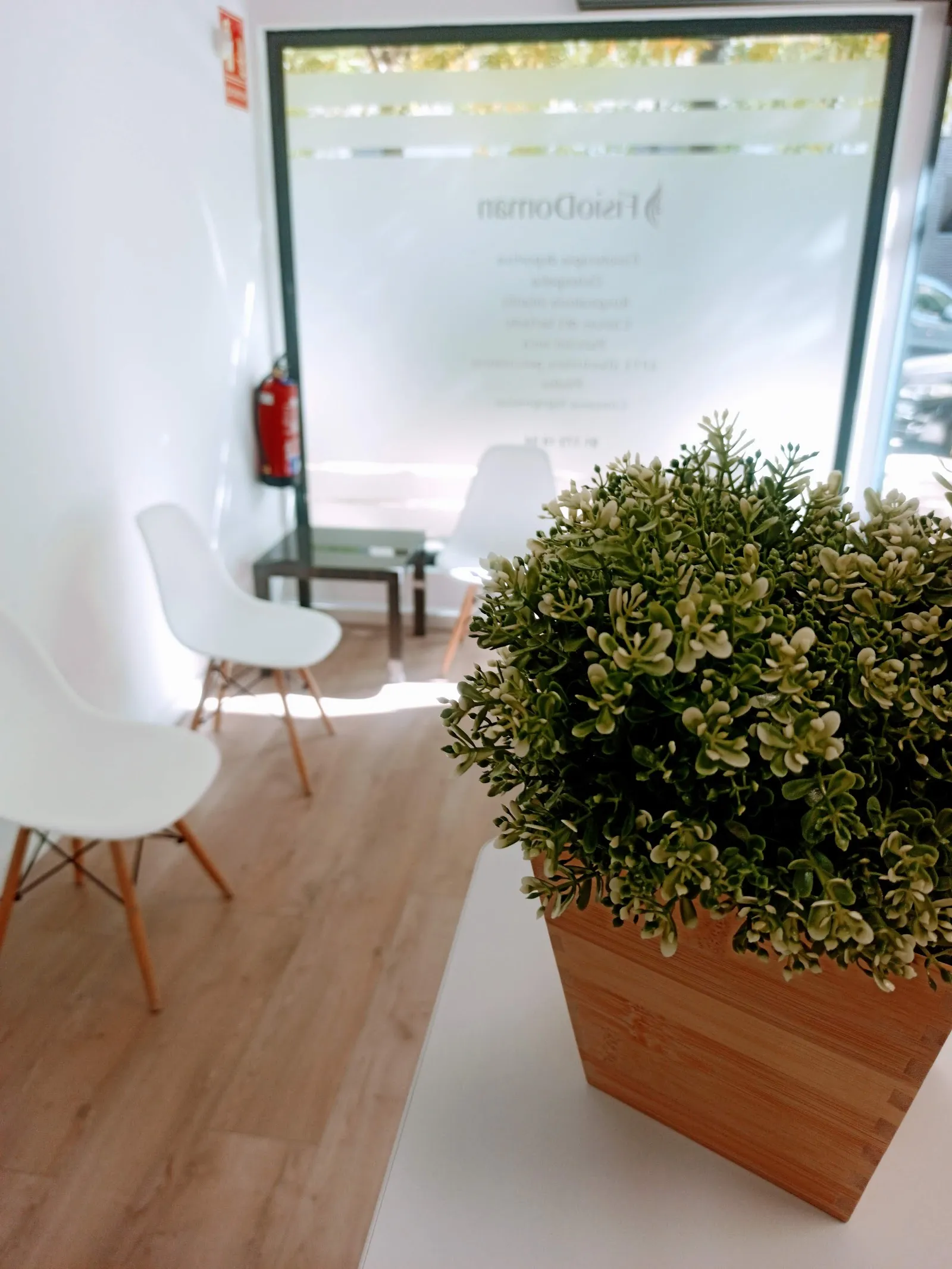 FISIODOMAN Fisioterapia, Osteopatía y Pilates Máquinas — pilates-studio en Móstoles — 4