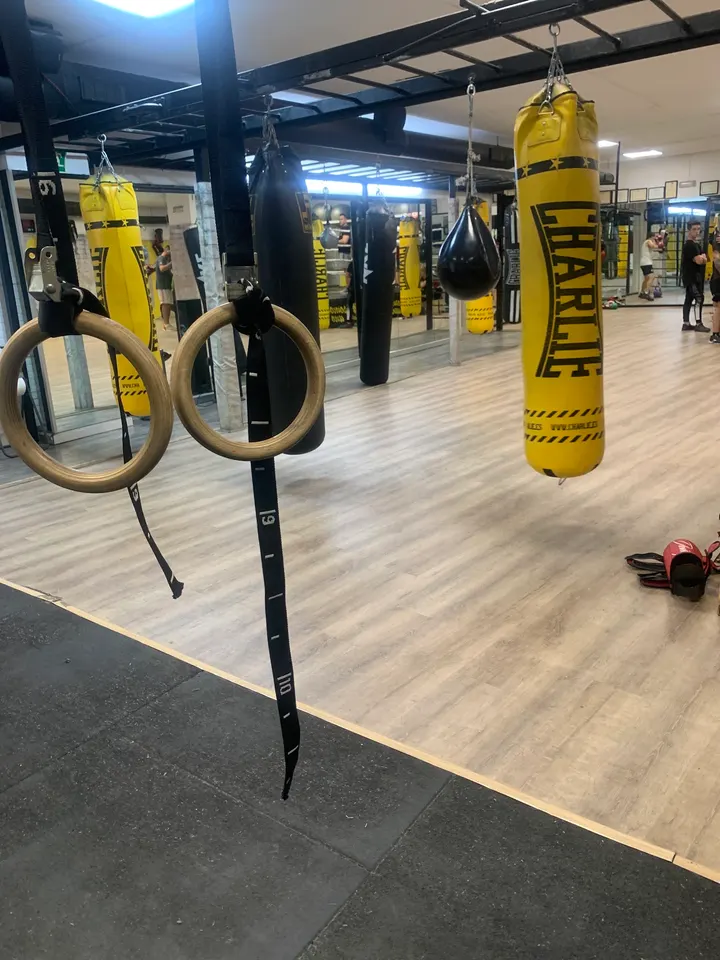 Sugar Ray — Boxeo en Jaén