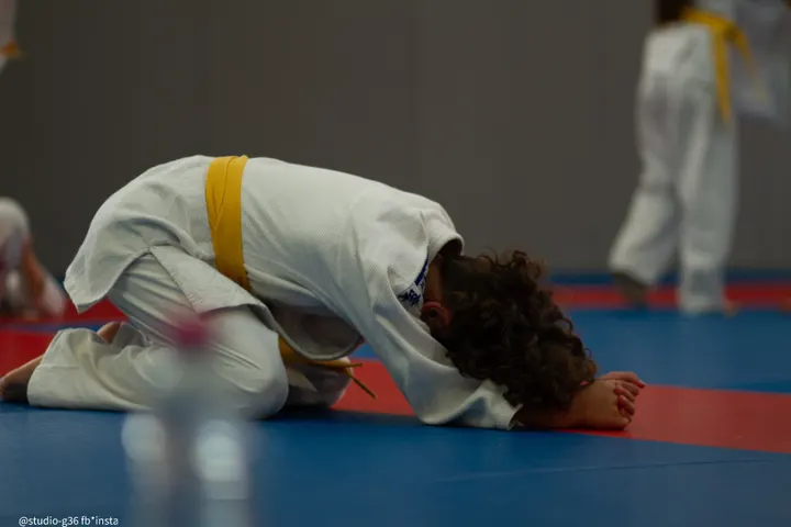 JuJitsu Club D'Enghien les bains — jjb-studio à Paris — 6