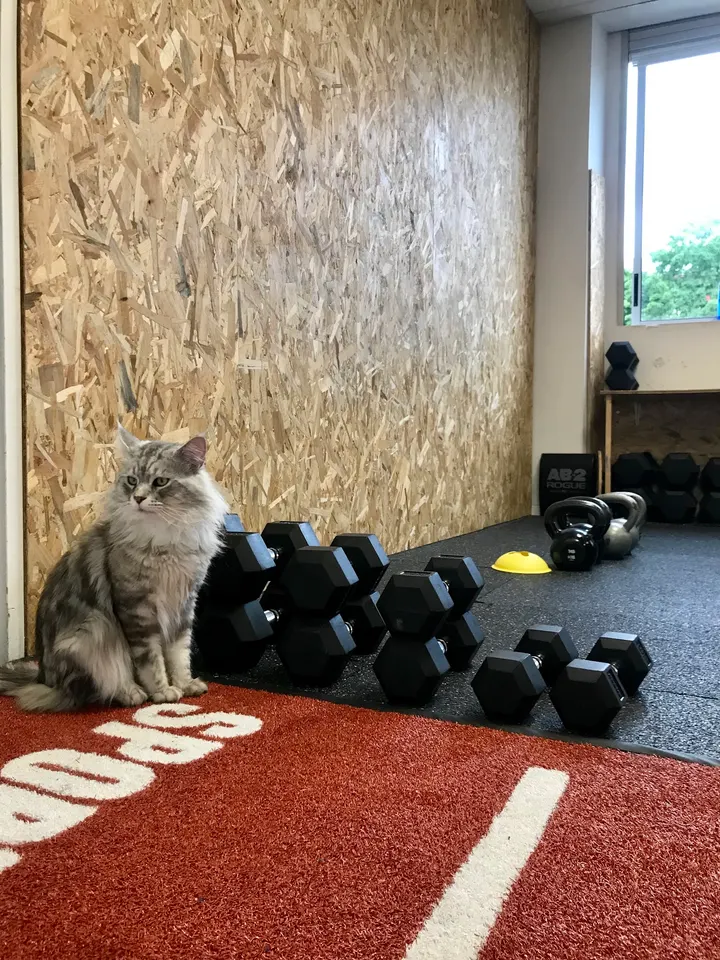 Let's Sweat — salle de fitness-studio à Ornex — 3