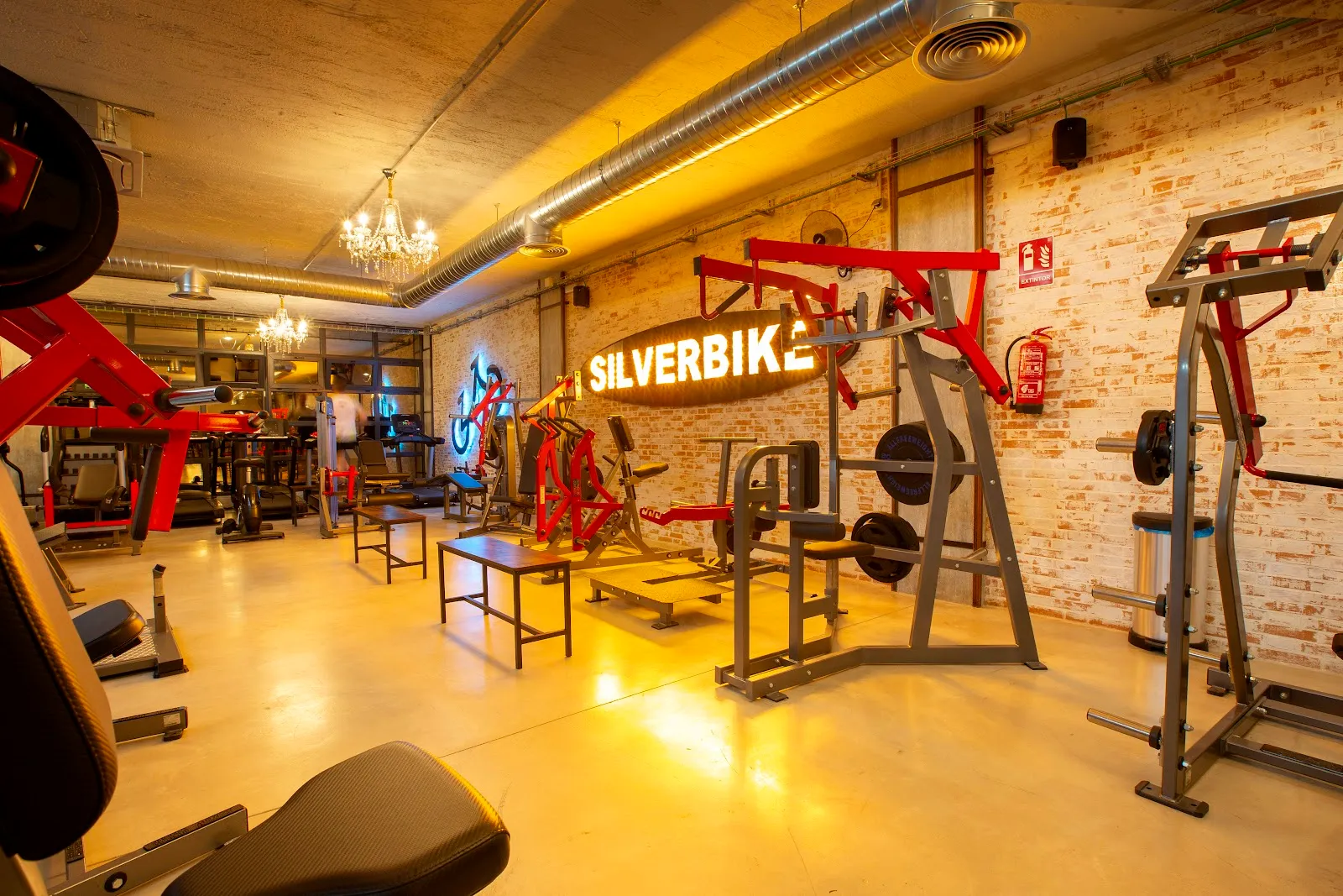 Silvergym — estudio de fitness-studio en Mengíbar — 4