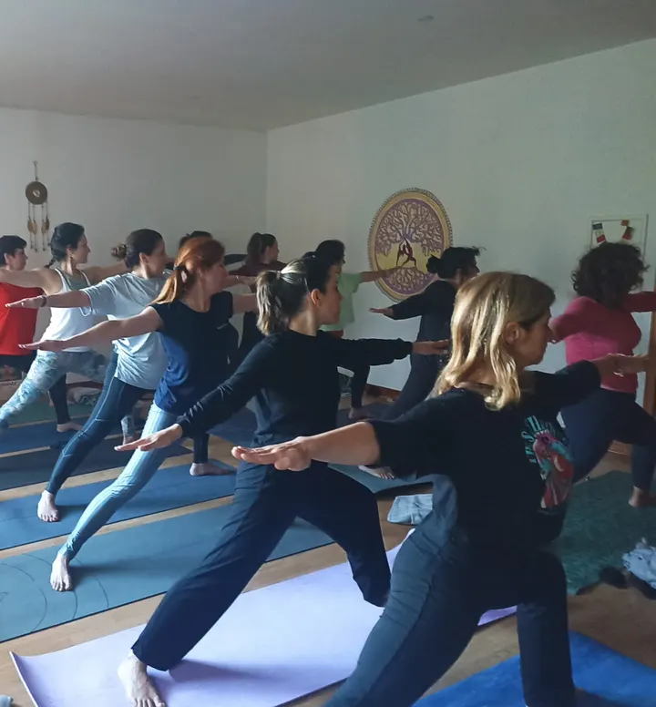 Gaya Yoga Soul — yoga-studio em Laborim, Porto — 3