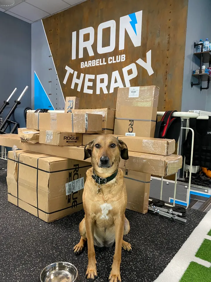 Iron Therapy — fitnessstudio in Eimsbüttel, Hamburg — 2