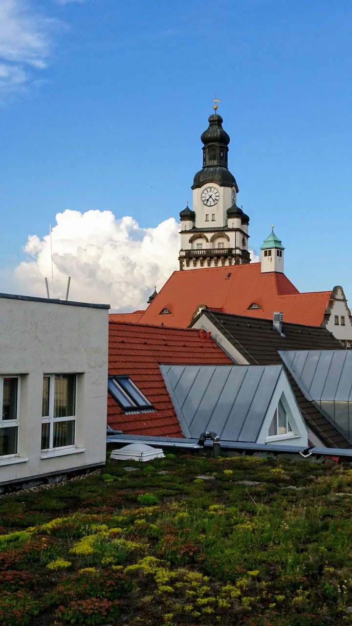 healthybodies - Dein Gesundheitsclub — krafttraining-studio in Sörmitz, Döbeln — 2