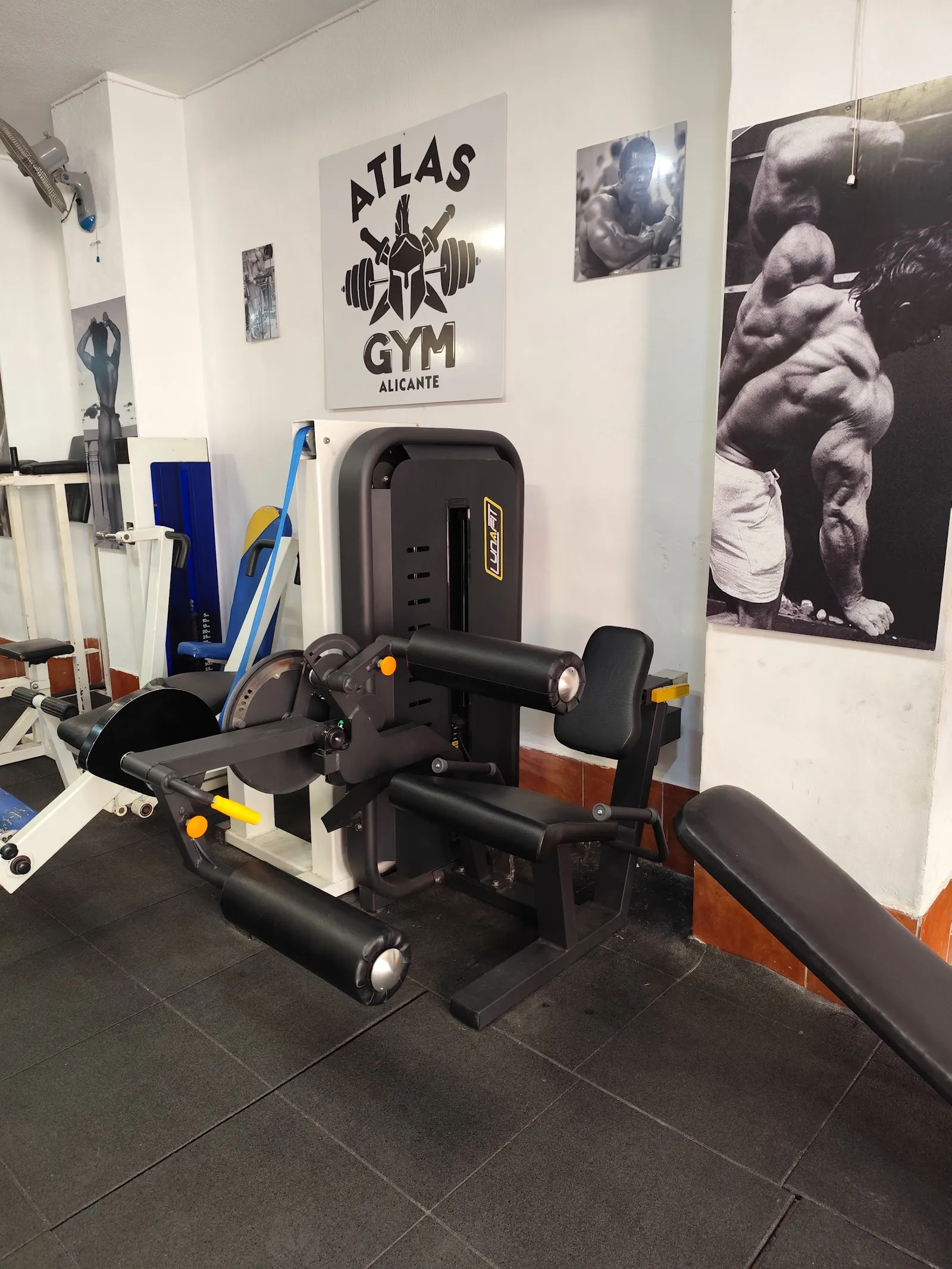 Gym Atlas — estudio de fitness-studio en Villafranquesa, Alicante — 2