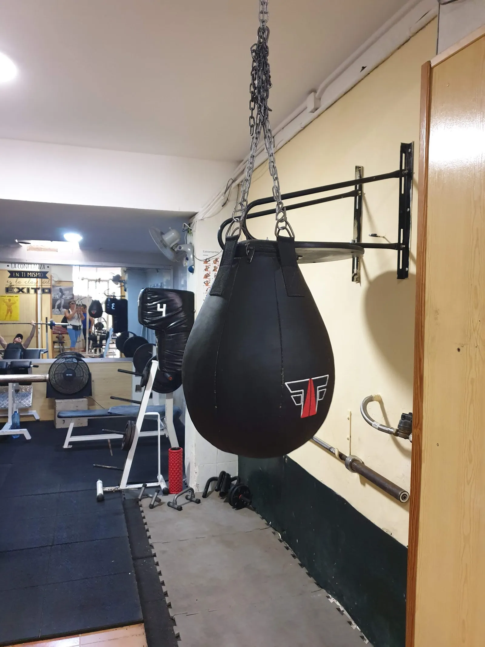 Gym Atlas — estudio de fitness-studio en Alicante — 4