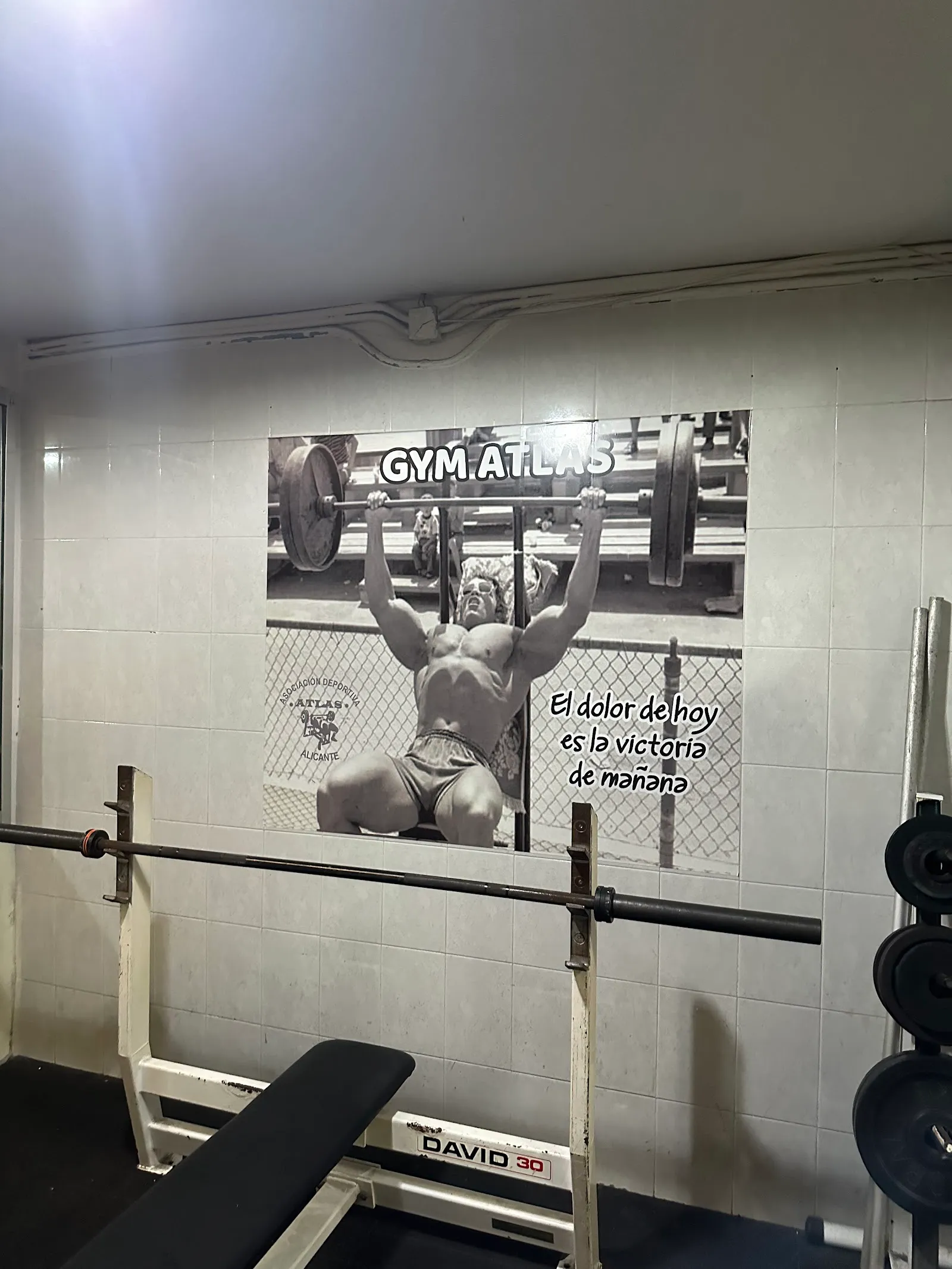 Gym Atlas — estudio de fitness-studio en Alicante — 5