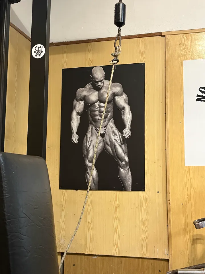 Gym Atlas — Estudio de fitness en Villafranquesa, Alicante
