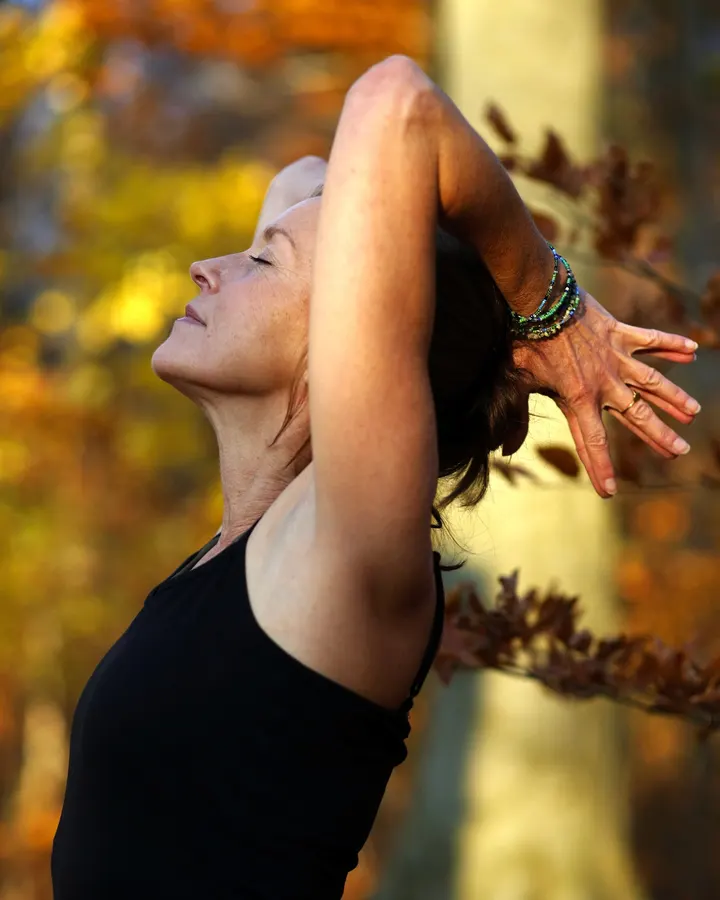 Nove Yoga — Yoga in Kaßberg, Chemnitz