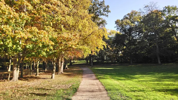 Holbæk Klatrepark — Klatring i Tingtved, Holbæk