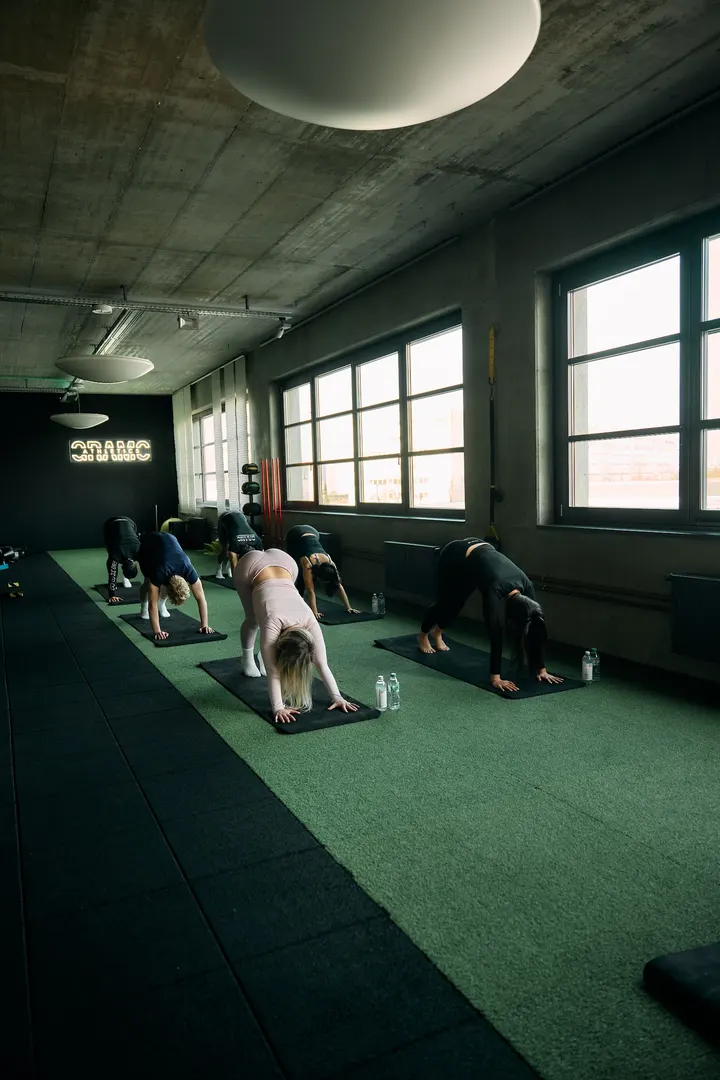 Gramo Athletics — pt-studio in Fechenheim, Frankfurt am Main — 2