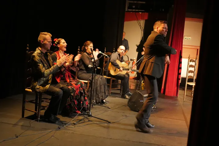 Arte Flamenco Grenoble — Danse à Secteur 5, Grenoble