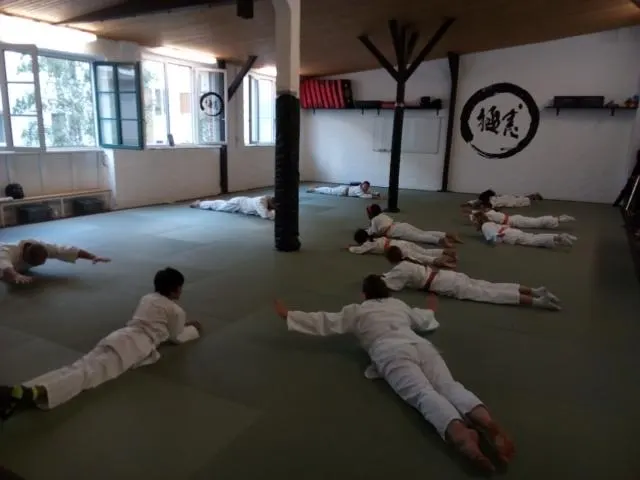 Shinbu-ryu Aikido Hannover — kampfsport-studio in Hannover — 3