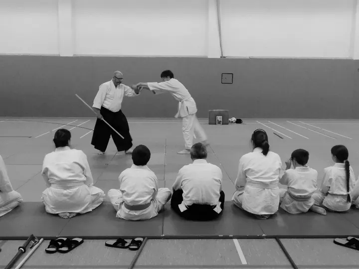 Shinbu-ryu Aikido Hannover — Kampfsport in List, Hannover