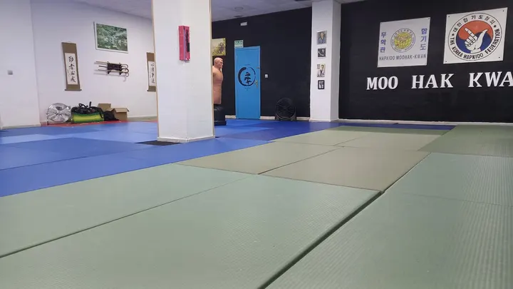Escuela de Artes Marciales Hermanos Jiménez — artes marciales-studio en la Florida Baixa, Alicante — 2