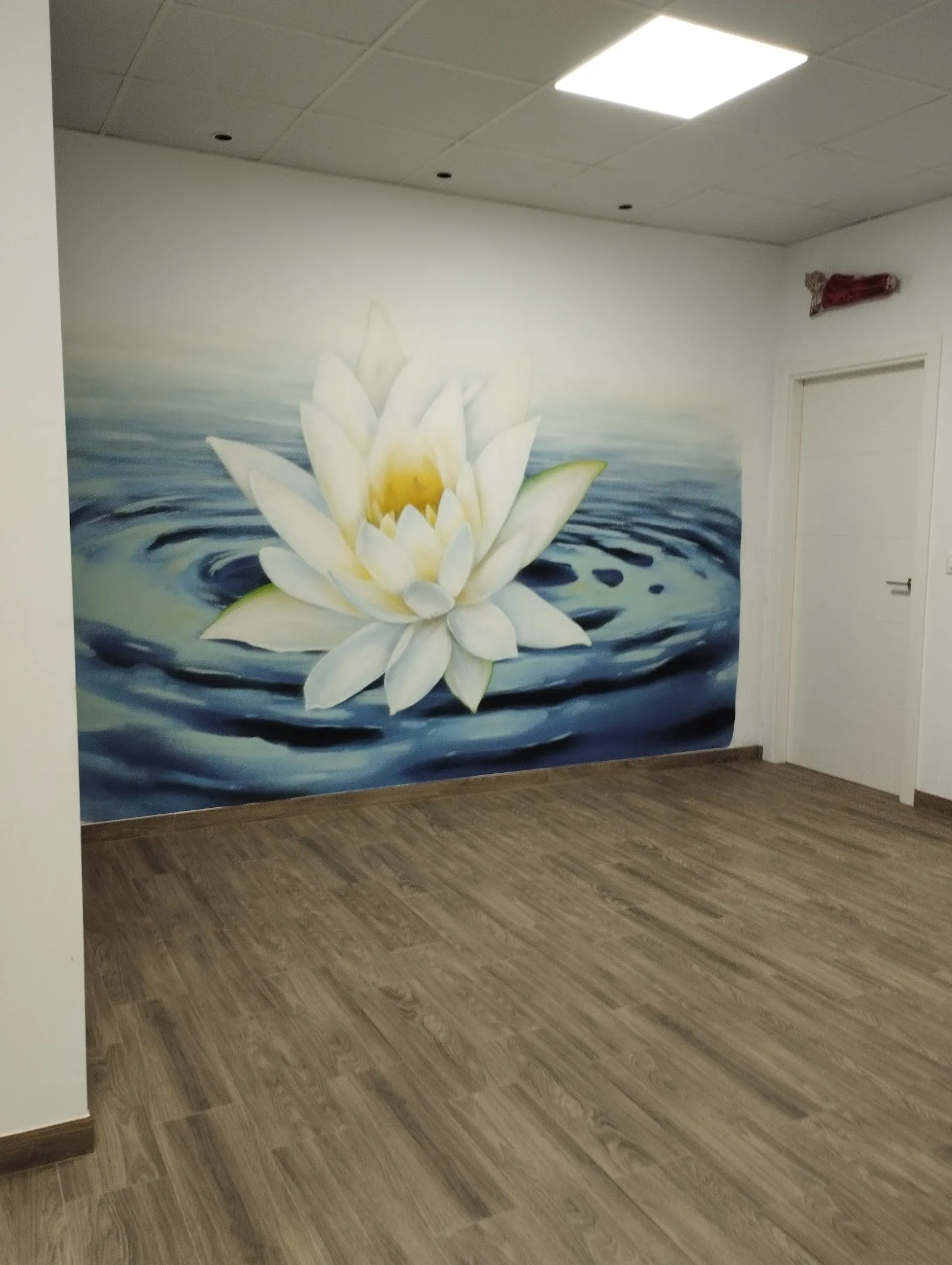 Asociación Yogas Sadhana Centro De Prácticas De Yoga — yoga-studio en La Línea de la Concepción — 2