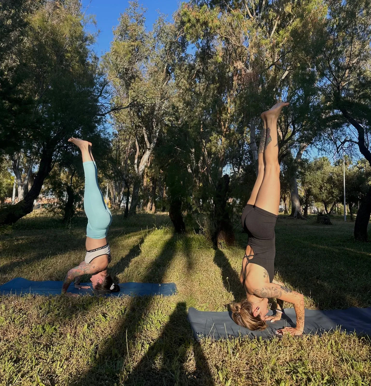 Asociación Yogas Sadhana Centro De Prácticas De Yoga — yoga-studio en La Línea de la Concepción — 3