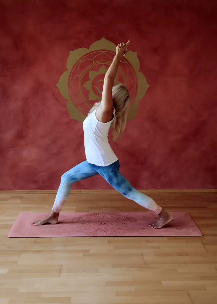 Hatha Yoga Schule Brigitte Krause — yoga-studio in Altstadt, Regensburg — 2