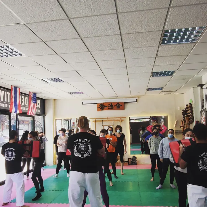 Arrebatadas La Nueva Defensa Femenina — artes marciales-studio en Madrid — 4