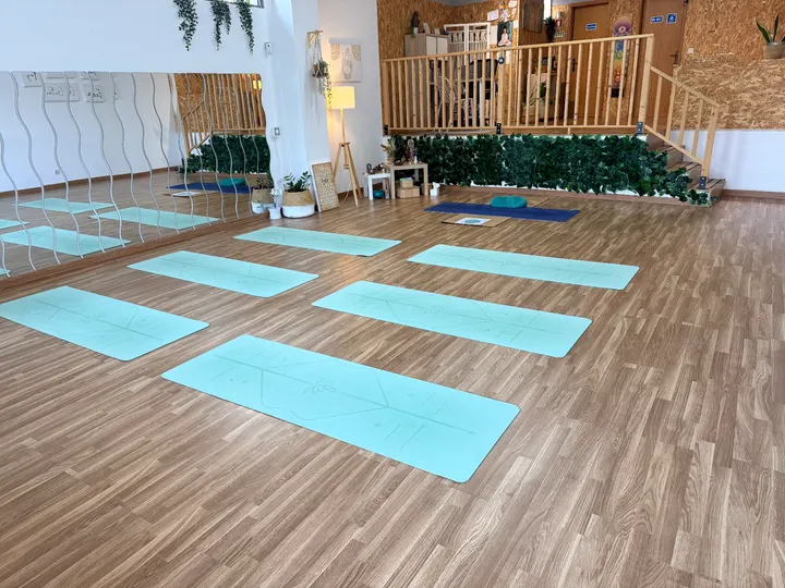 VIVE — yoga-studio em Abrantes — 3
