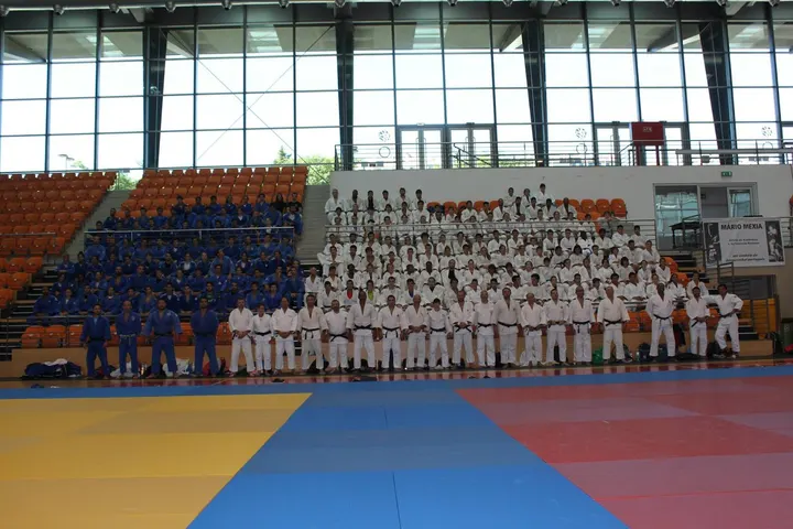 FIVE ELEMENTS JIU JITSU HUELVA. — artes marciales-studio en Huelva — 4