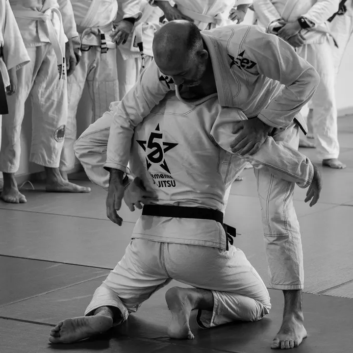 FIVE ELEMENTS JIU JITSU HUELVA. — Artes marciales en Huelva