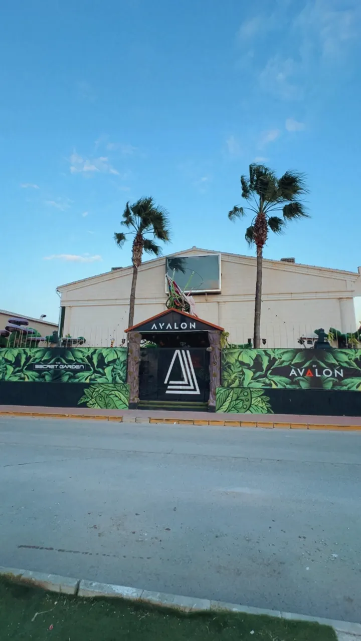 ÓSCAR ALON — artes marciales-studio en Torrevieja — 4
