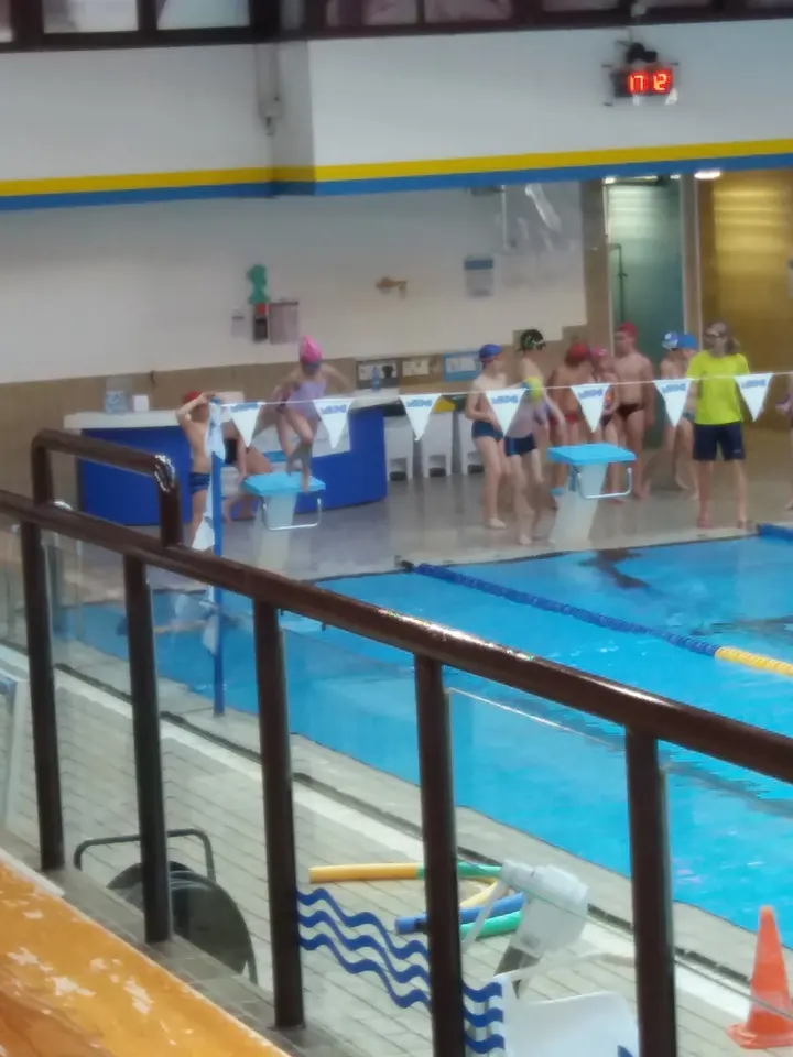 Piscina di Belluno — studio a Belluno — 3