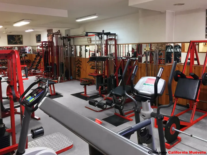 Gimnas.,io California León — Gimnasia en Renueva - San Esteban, León