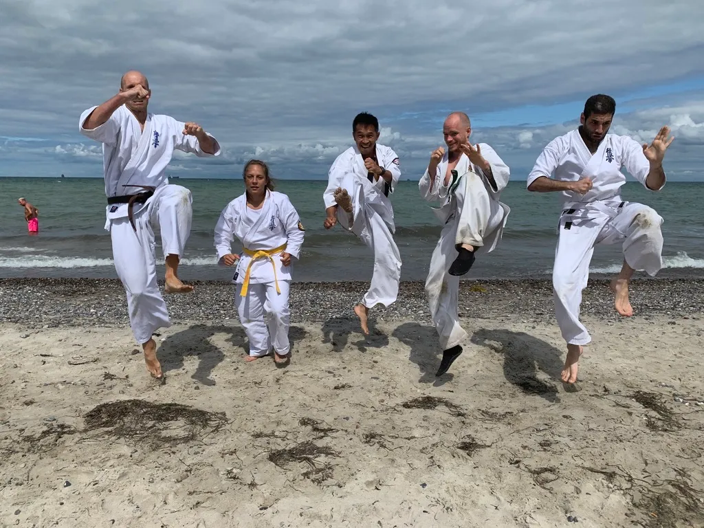Seishin Dojo e.V. — kampsport-studio i Berlin — 3